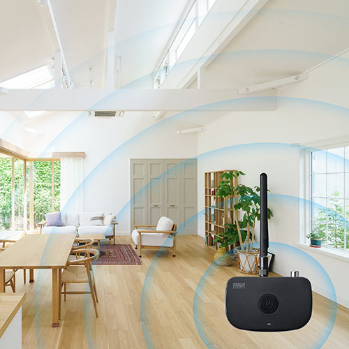BluetoothȋIѕ | 2025N