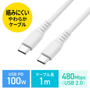 y iPadi10jΉz炩 USB Type-CP[u 1m ܂Ȃ PD100W CtoC USB2.0 zCg X}z[dP[u