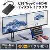 yVi|Cg10{zUSB C - HDMI ϊA_v^ 4K~1 tHD~1 fBXvCA_v^ }`fBXvC 2 g HDMI2 Win MacΉ 500-USB092