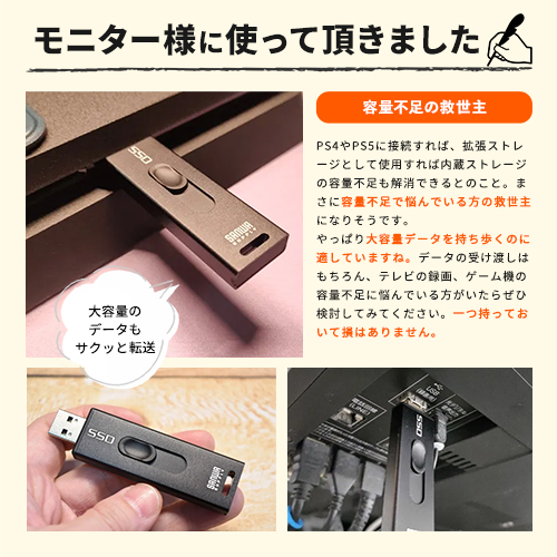 XeBbN^SSD Ot USB3.2 Gen2 ^ 256GB er^ Q[@ PS5/PS4/Xbox Series X XCh } Vo[ 600-USSD256GS