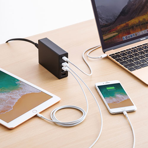 USB[d(PDΉEType C|[gEv60WE5|[gEubN) ACA-PD57BK