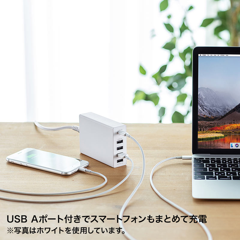 USB[d(PDΉEType C|[gEv60WE5|[gEubN) ACA-PD57BK