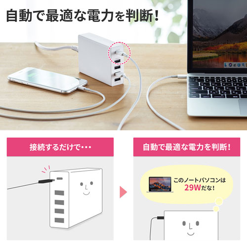 USB[d(PDΉEType C|[gEv60WE5|[gEubN) ACA-PD57BK