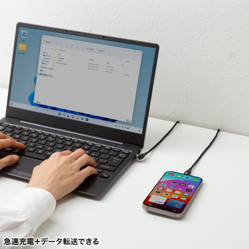 USB Type-C P[u PDΉ100W ] 540 1m KU-CCP100KA10BK