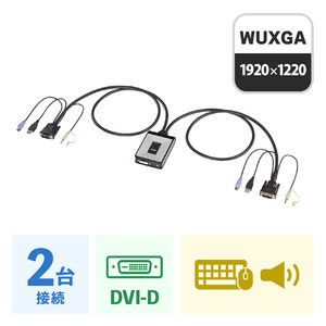 SW-KVM2DXN